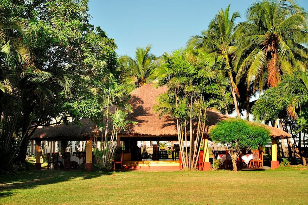 Happy Ripples Beach Resort Mabilao المظهر الخارجي الصورة