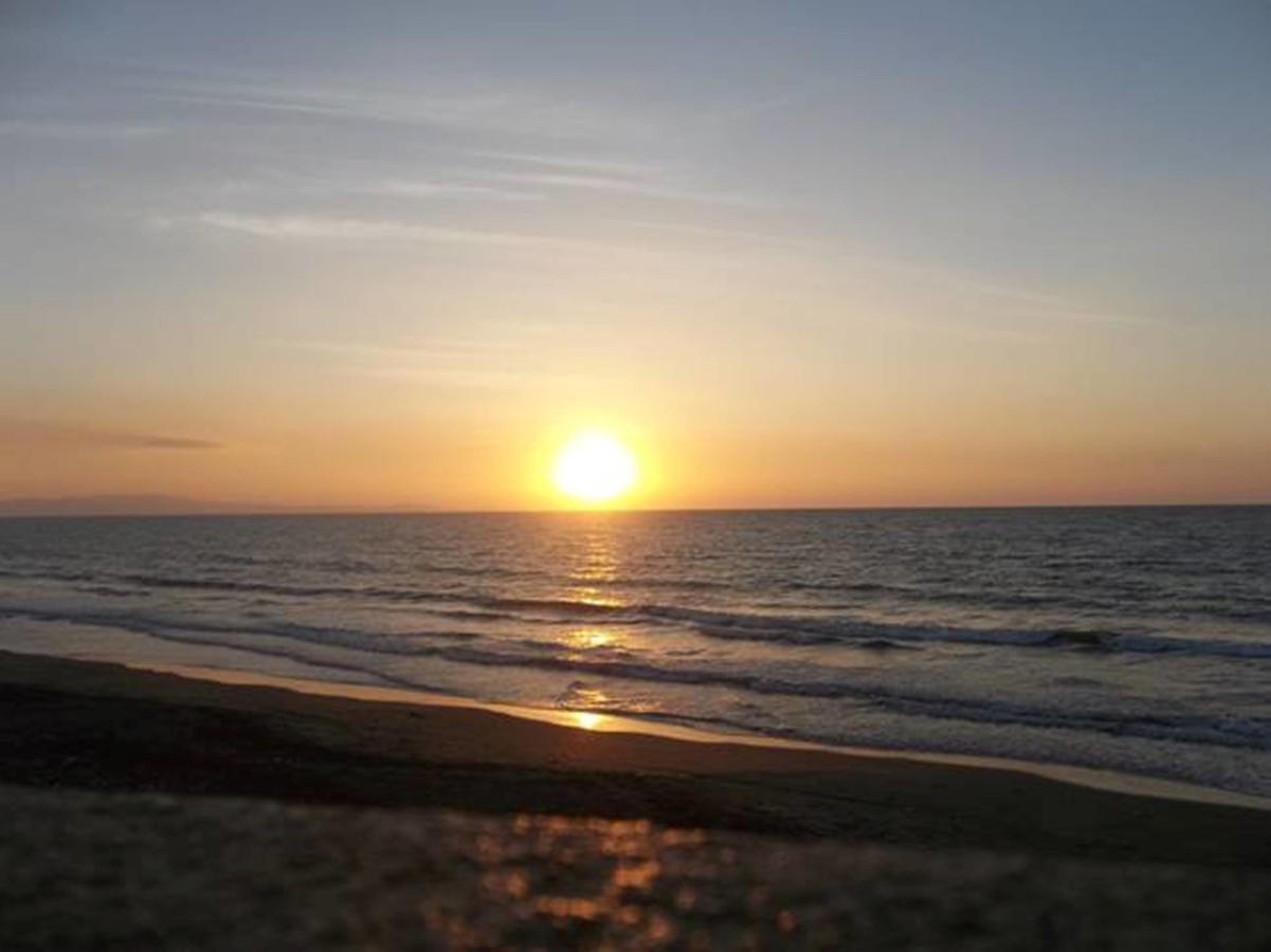 Happy Ripples Beach Resort Mabilao المظهر الخارجي الصورة